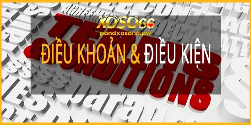 Điều khoản về quyền sử dụng dịch vụ ở sảnh game